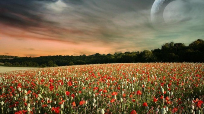 如何写出军工级的代码？!